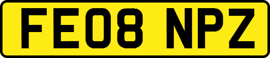 FE08NPZ