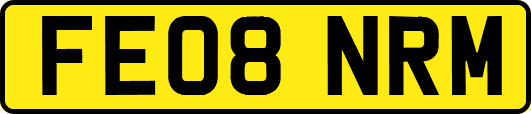 FE08NRM