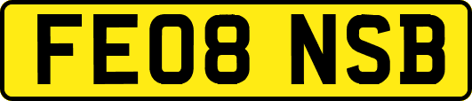 FE08NSB
