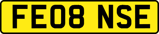 FE08NSE