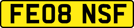 FE08NSF