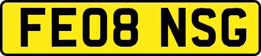 FE08NSG
