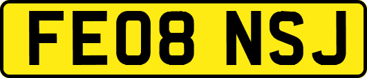 FE08NSJ