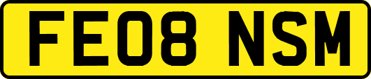 FE08NSM