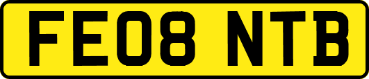 FE08NTB