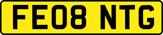 FE08NTG