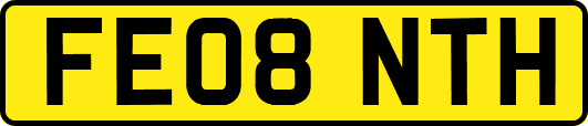 FE08NTH