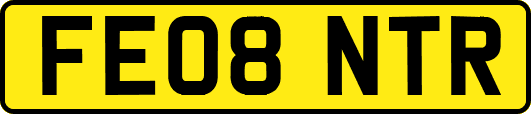 FE08NTR