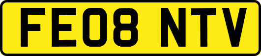 FE08NTV