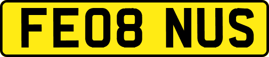 FE08NUS