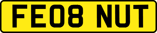 FE08NUT