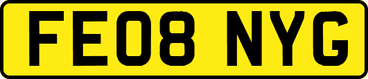 FE08NYG