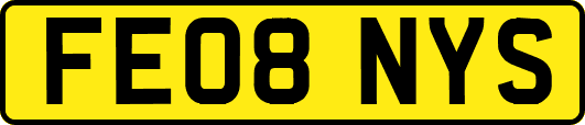 FE08NYS