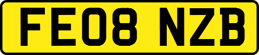 FE08NZB