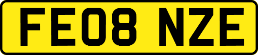 FE08NZE