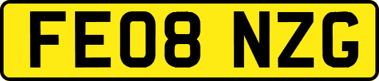 FE08NZG