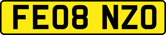 FE08NZO
