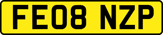 FE08NZP