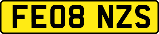 FE08NZS