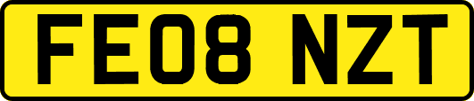 FE08NZT