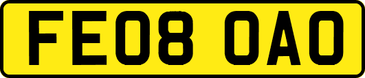 FE08OAO