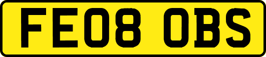 FE08OBS