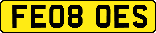 FE08OES