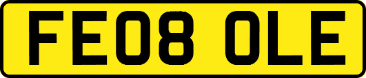 FE08OLE