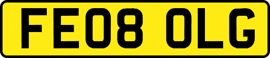 FE08OLG