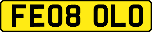 FE08OLO