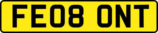 FE08ONT