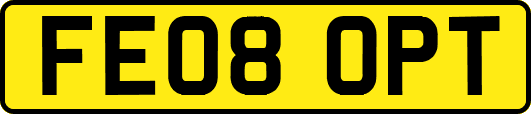 FE08OPT