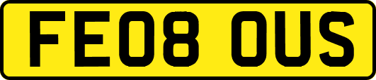 FE08OUS