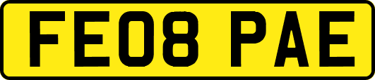 FE08PAE
