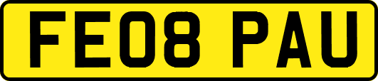 FE08PAU
