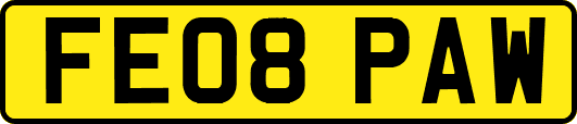 FE08PAW