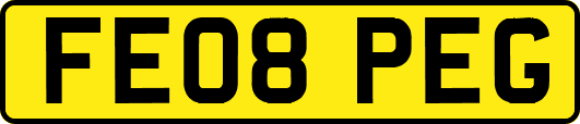 FE08PEG
