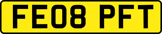 FE08PFT
