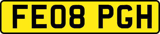 FE08PGH