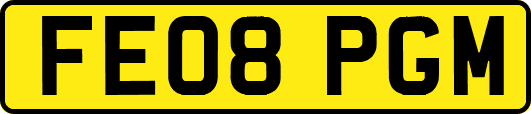 FE08PGM