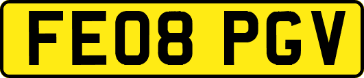 FE08PGV