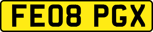 FE08PGX