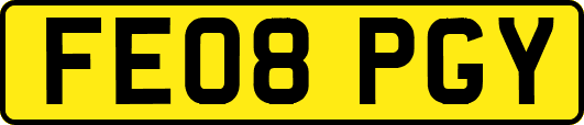 FE08PGY