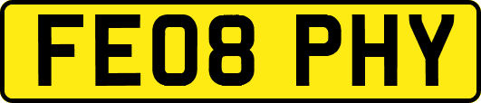 FE08PHY