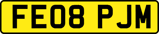 FE08PJM