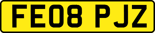 FE08PJZ