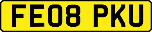 FE08PKU