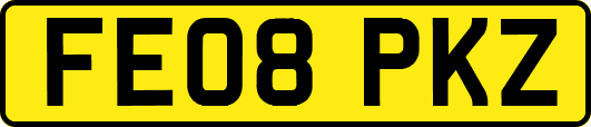FE08PKZ