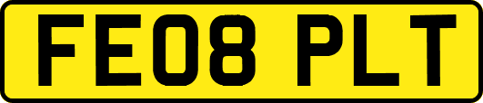 FE08PLT