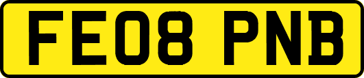 FE08PNB